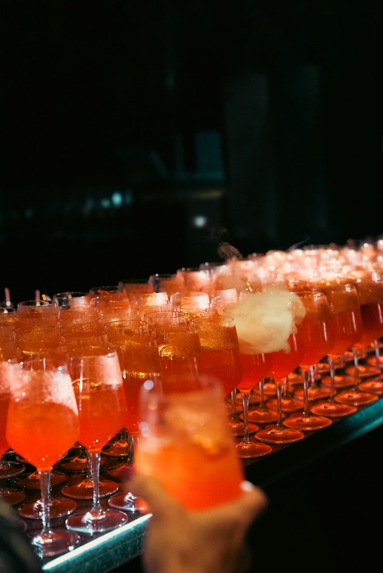 Events & Galas — photo 15/16